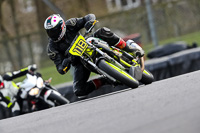 brands-hatch-photographs;brands-no-limits-trackday;cadwell-trackday-photographs;enduro-digital-images;event-digital-images;eventdigitalimages;no-limits-trackdays;peter-wileman-photography;racing-digital-images;trackday-digital-images;trackday-photos